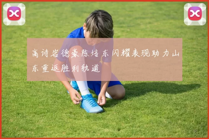 高诗岩德豪陈培东闪耀表现助力山东重返胜利轨道