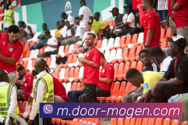 摩根体育APP 封面图